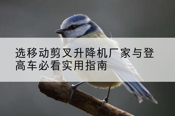 宁夏电动升降机厂家-选移动剪叉升降机厂家与登高车必看实用指南