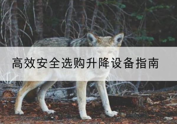 宁夏升降货梯厂家推荐-*安全选购升降设备指南